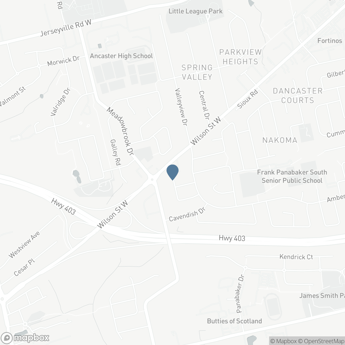 359 SUNNYMEADE Drive, Ancaster, Ontario L9G 4L2